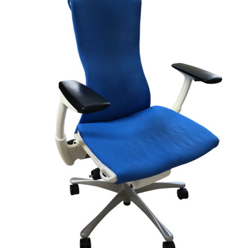 Herman Miller Embody Chair (Used)